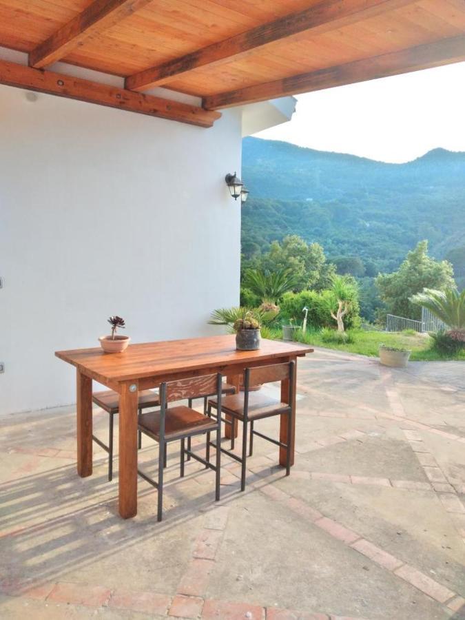 Holiday Apartment Villa Camilla 切法卢 外观 照片