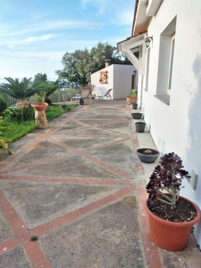 Holiday Apartment Villa Camilla 切法卢 外观 照片