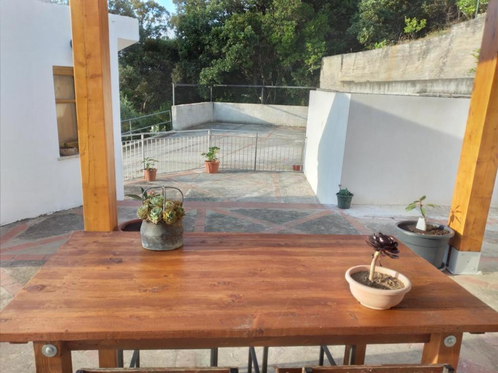 Holiday Apartment Villa Camilla 切法卢 外观 照片